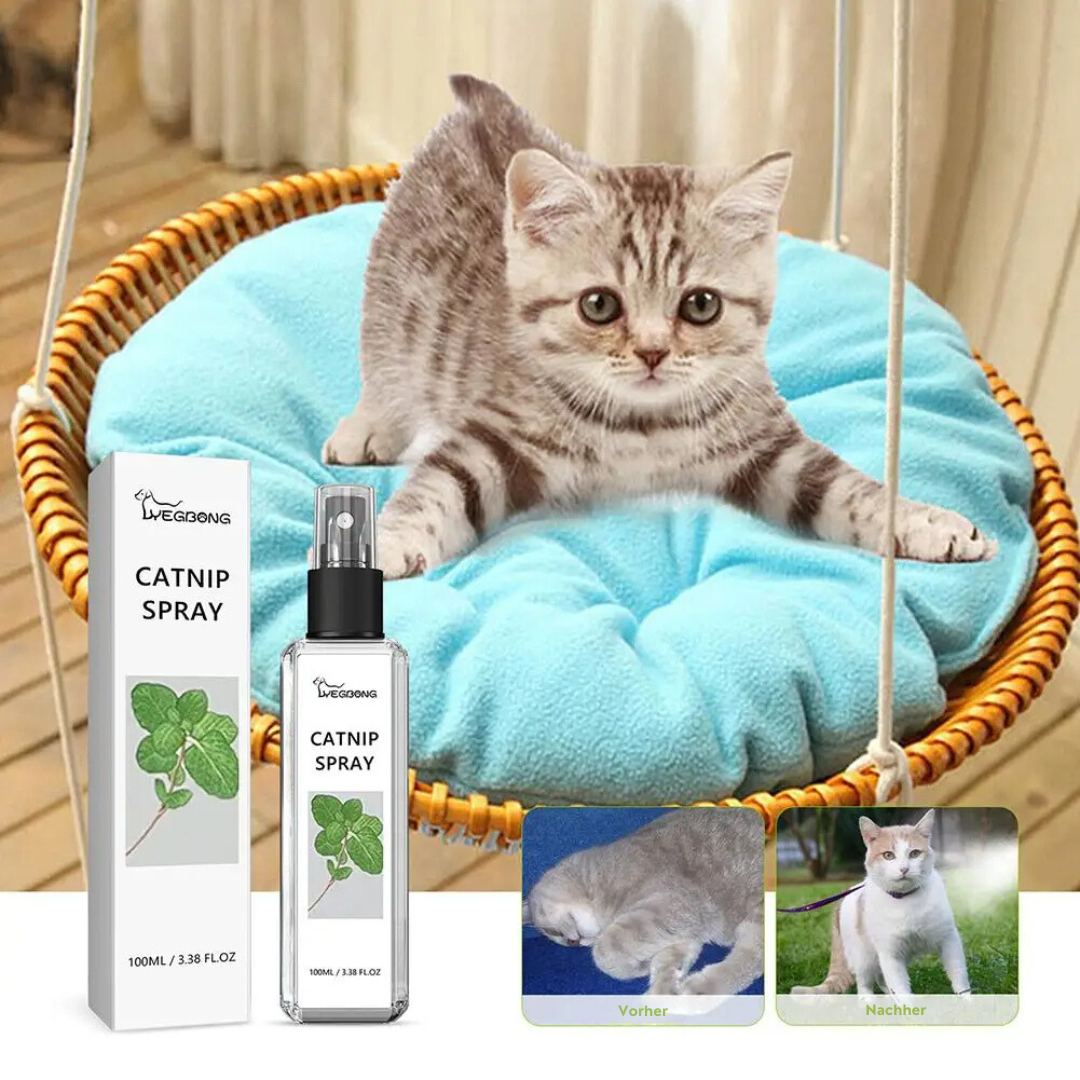 Beroligende katte spray - SilverVine Bliss Spray Norvo