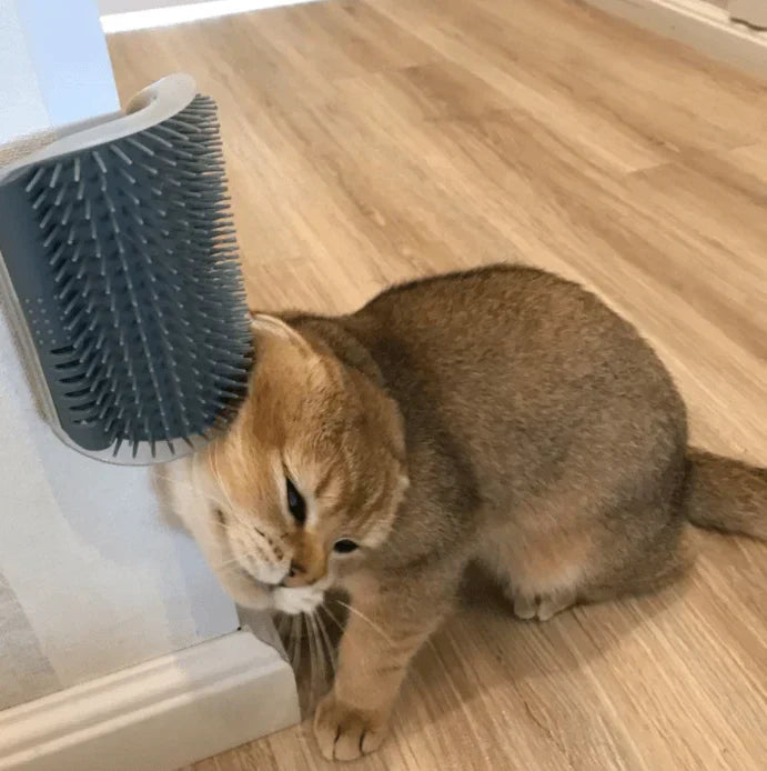 Selvpleie Katt Hjørnebørste – FurRelaxer Norvo