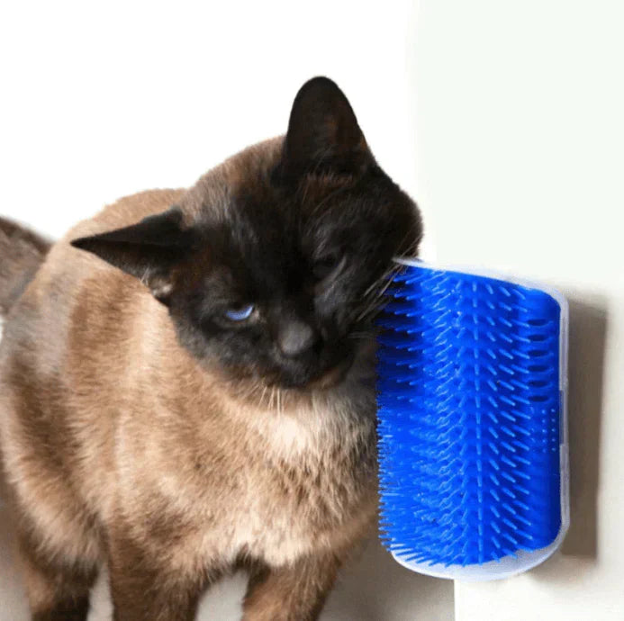 Selvpleie Katt Hjørnebørste – FurRelaxer Norvo