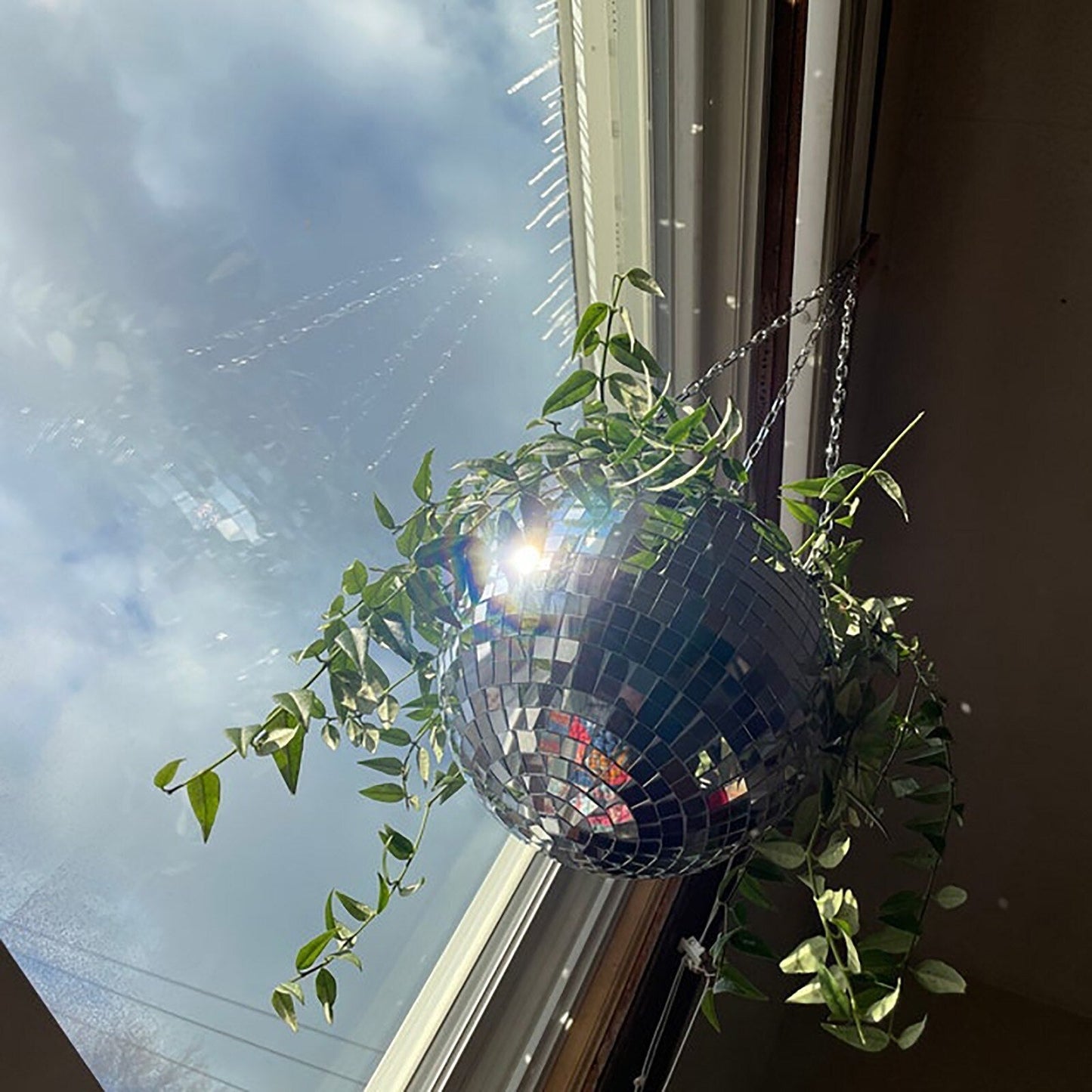 Norvo | Disco Ball Hengende Plante