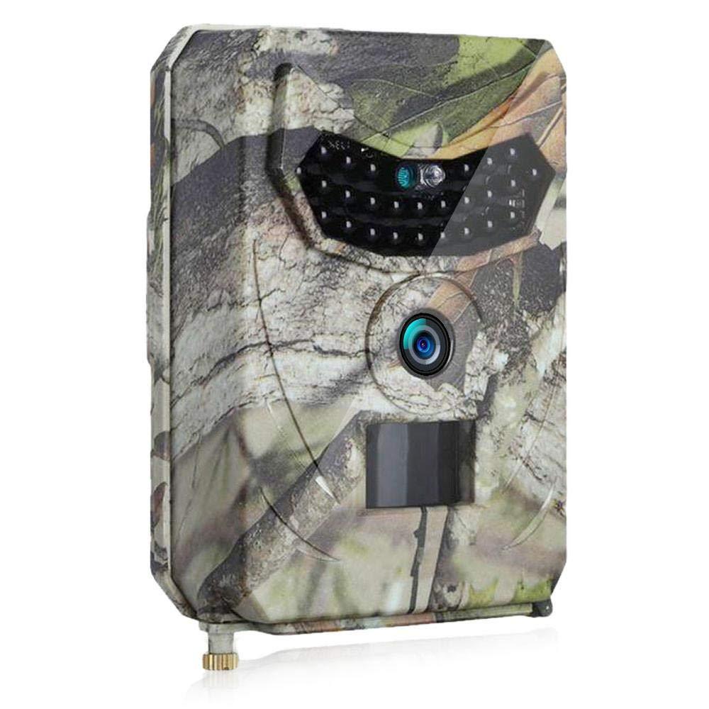 Norvo | Clear Vision Trail Camera