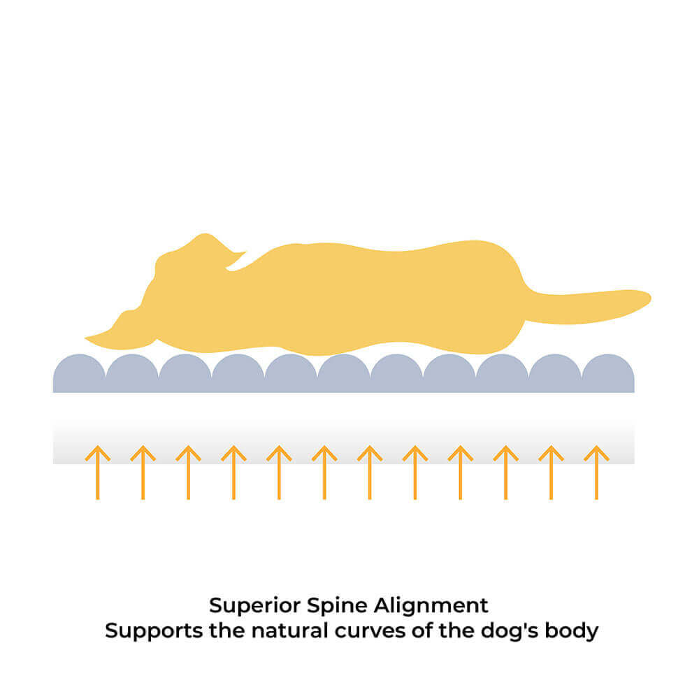 Komfortabel Hundeseng - CheesecakeComfort Seng Skålift