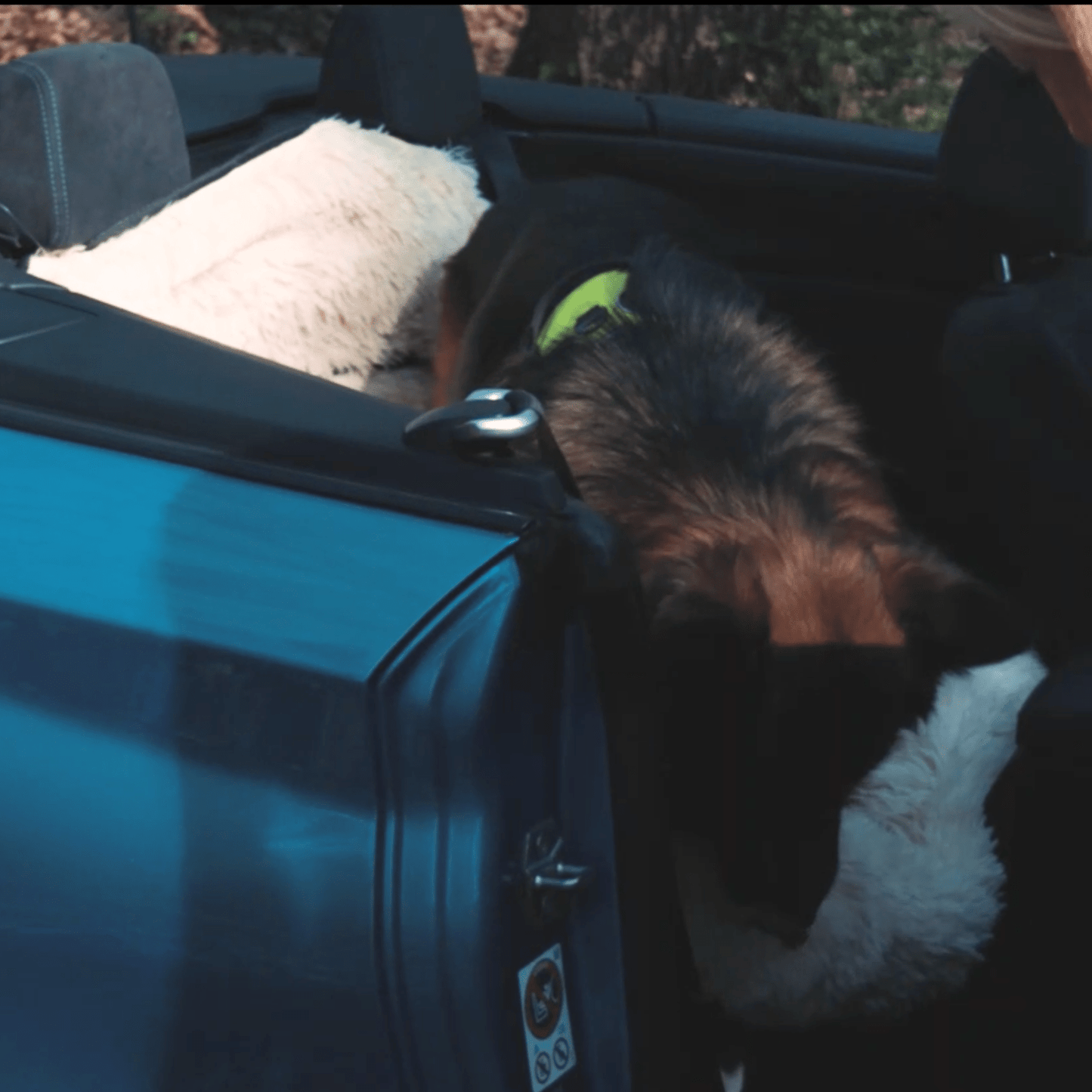 Norvo | Kjæledyr reise seng minneskum pute sete