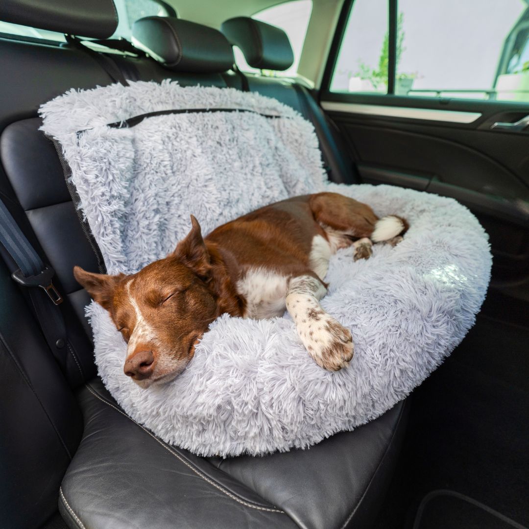 Norvo | Kjæledyr reise seng minneskum pute sete