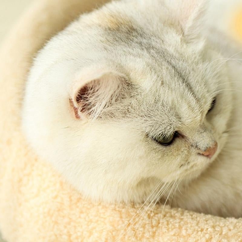 Norvo | COSYCAT Retreat – Stilig Kattebånd med Sisal Kloreoverflate & Puter