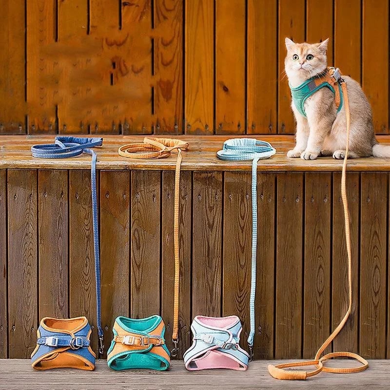 Norvo | Katt Vest Og Belte Sett Kjæledyr Taksjons Tau