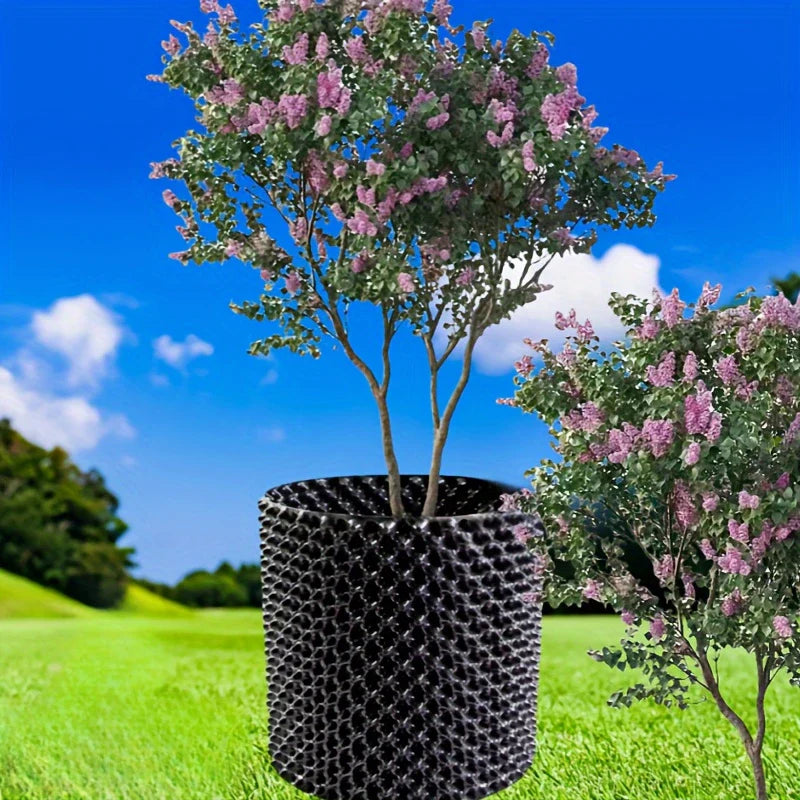 Norvo | Rotskontrollenhet for planter og landskap for å fremme sunn vekst