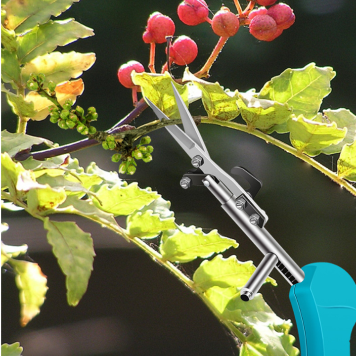 Norvo | Bærbare spisse hagesakser