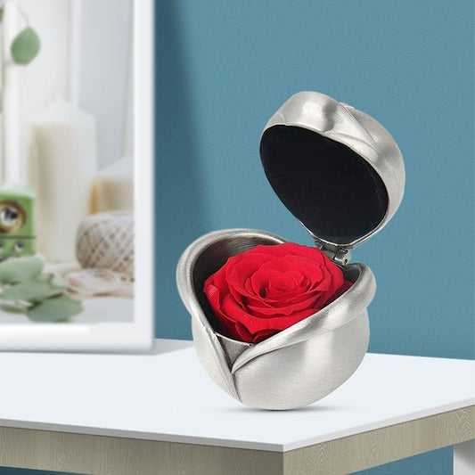 Norvo | Bevarte Blomst Rose