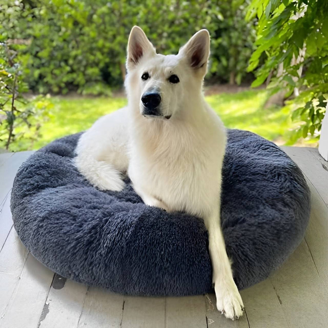 Norvo | Beroligende Hundeseng