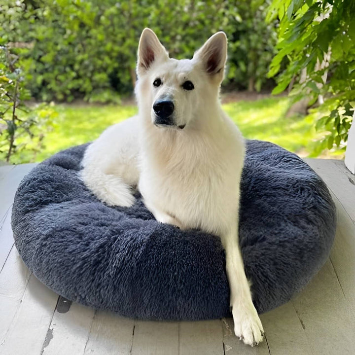 Norvo | Beroligende Hundeseng