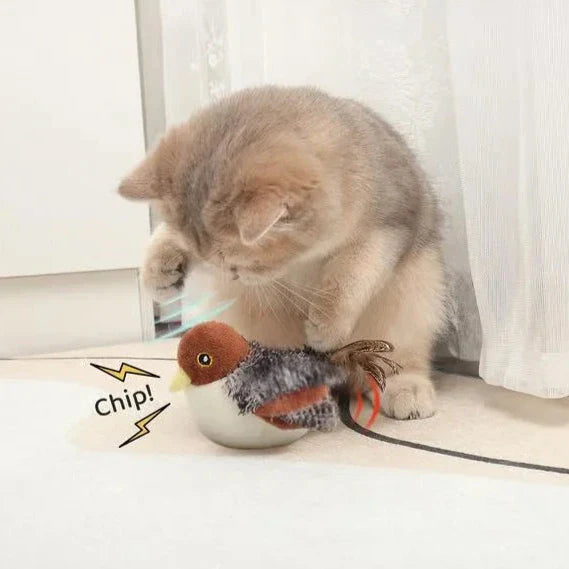 Norvo | Chirpy Katt leketøy