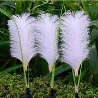 Norvo | Dekorativt Kurv Gårdsbelysning - SunReed