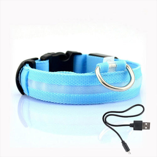 Hundehalsbånd med LED-belysning - GlowCollar Norvo