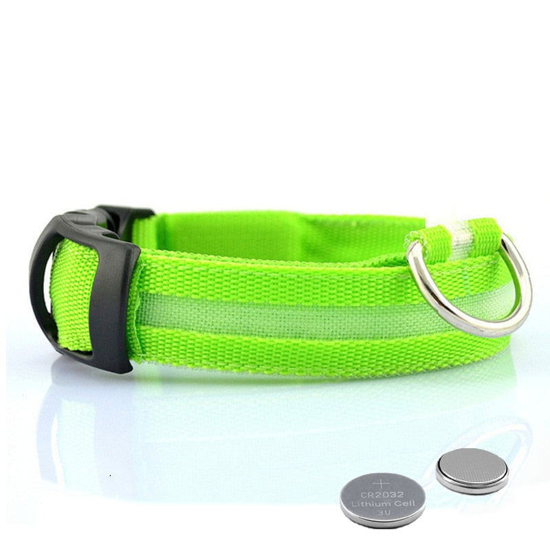 Hundehalsbånd med LED-belysning - GlowCollar Norvo