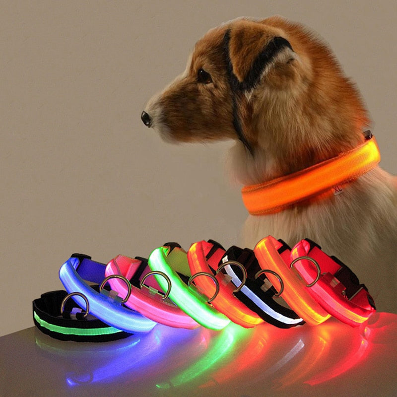 Hundehalsbånd med LED-belysning - GlowCollar Norvo