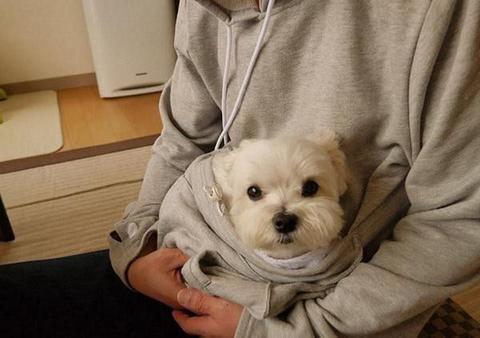 The Doggie Kangaroo Hoodie | Norvo