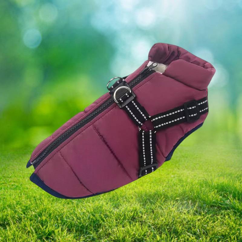 Norvo | Vanntett hundejakke for vinter med reflekterende innebygd sele