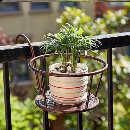 Norvo | Forvandle balkongen din - Hengende planter - Botanisk tilflukt