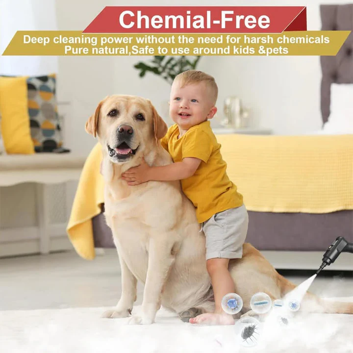 Norvo | Handdampfreiniger | 2500W Hochdruckreinigung | Weiß