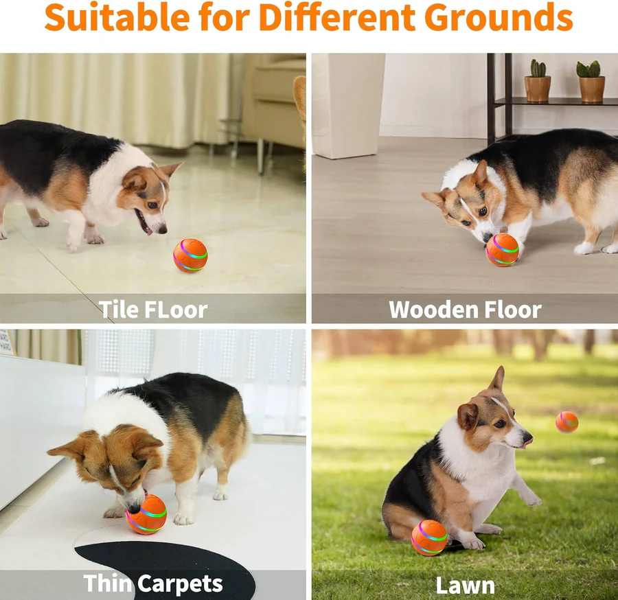 Norvo | Interaktiv hunde- og kattelekeball