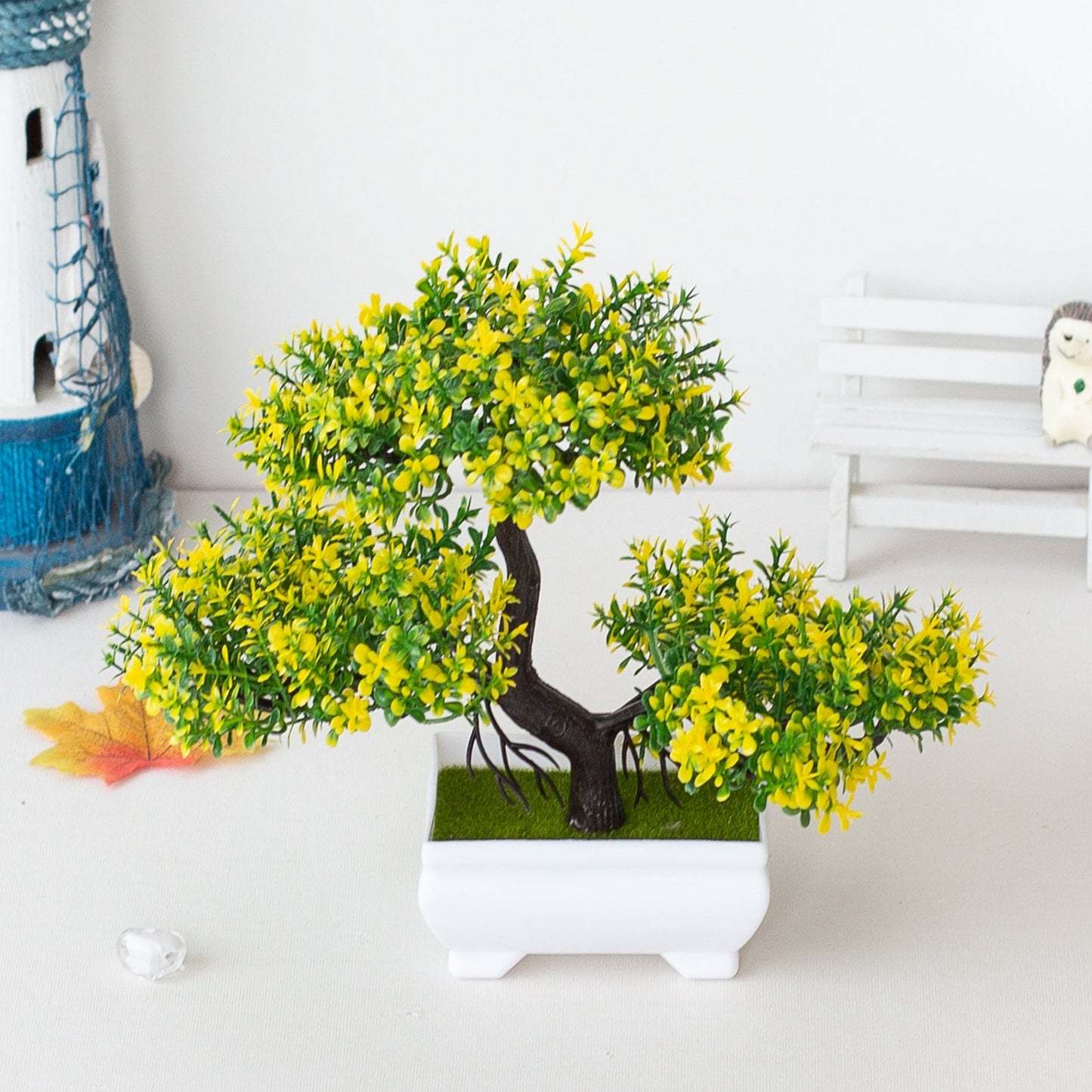 Norvo | Plante Bonsai