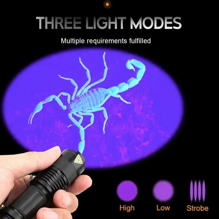 Norvo | LED UV LAMPE - ULTRAVIOLETT INSPEKSJONSLAMPE FOR KJÆLEDYR URINFLEKKER OG FLEKKDETEKSJON