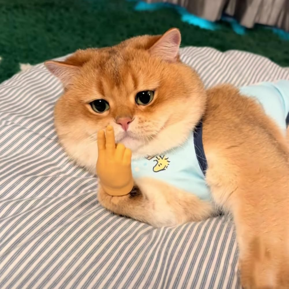 Norvo | CatPal Instant Kat Engasjement