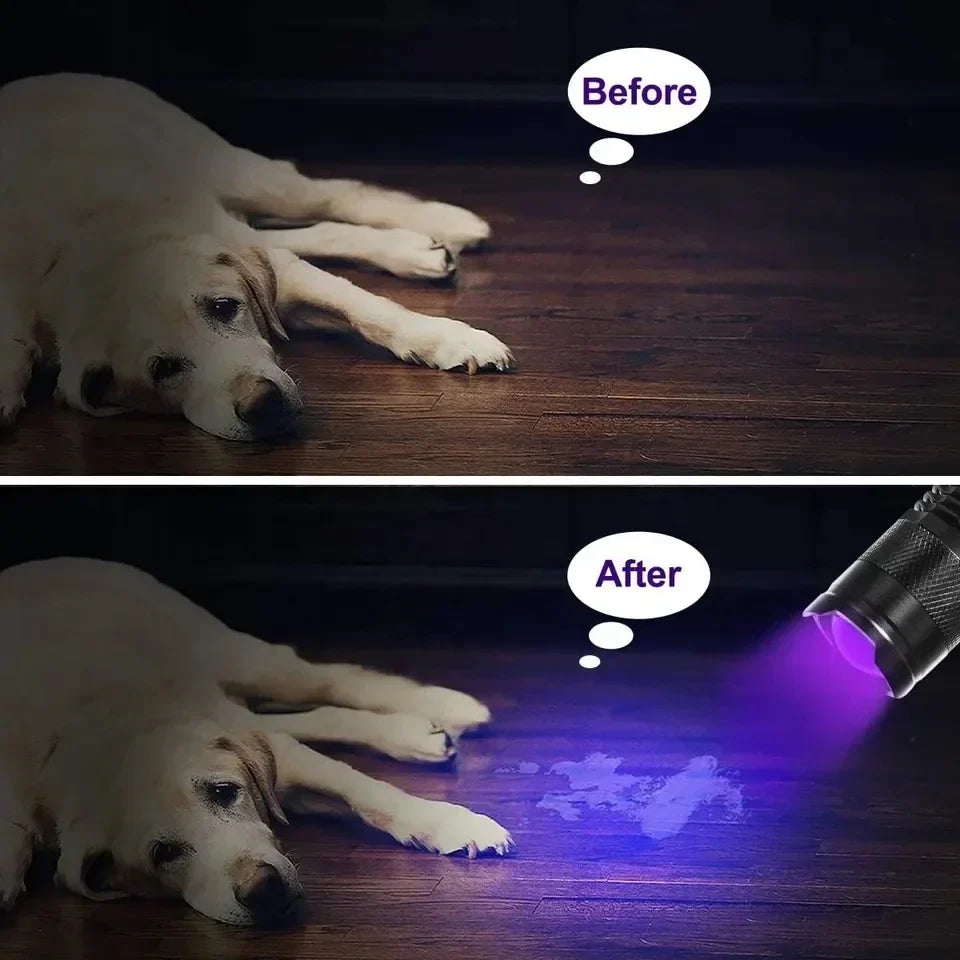 Norvo | LED UV LAMPE - ULTRAVIOLETT INSPEKSJONSLAMPE FOR KJÆLEDYR URINFLEKKER OG FLEKKDETEKSJON