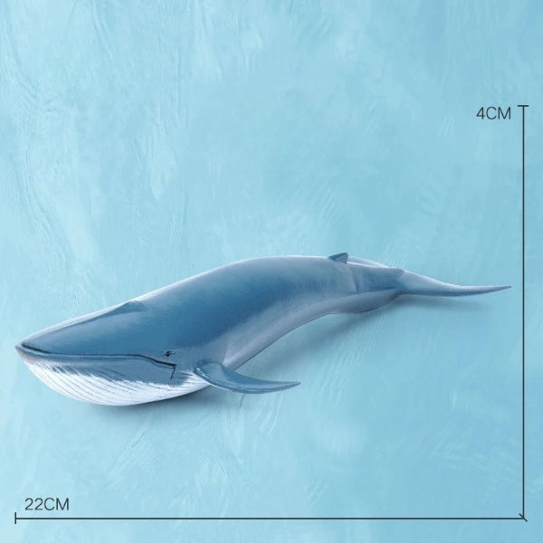 Norvo | Oceanimals | Læring & Dekorering – Realistiske Sjøliv Leketøy for Barn