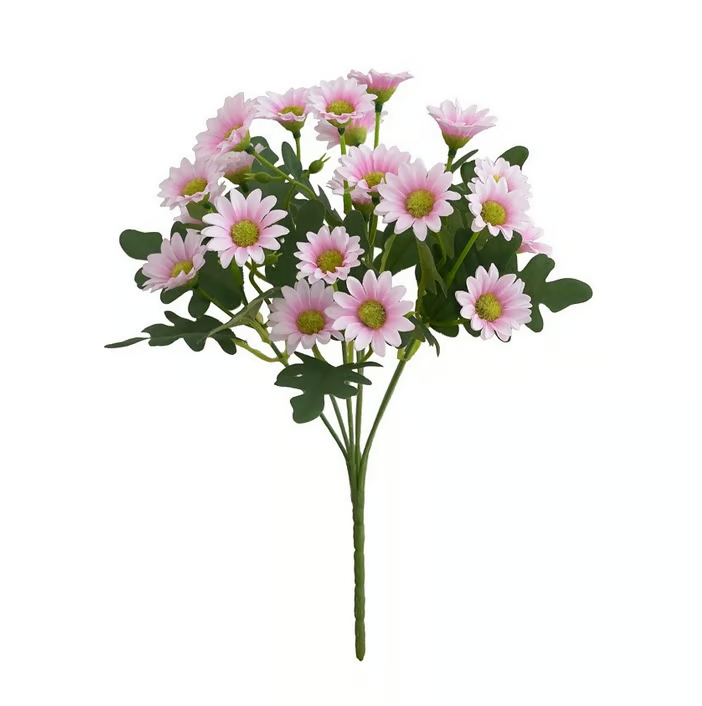 Norvo | AutumnBlaze — Din bekymringsfrie hagehit med farger som fortryller hver høst!