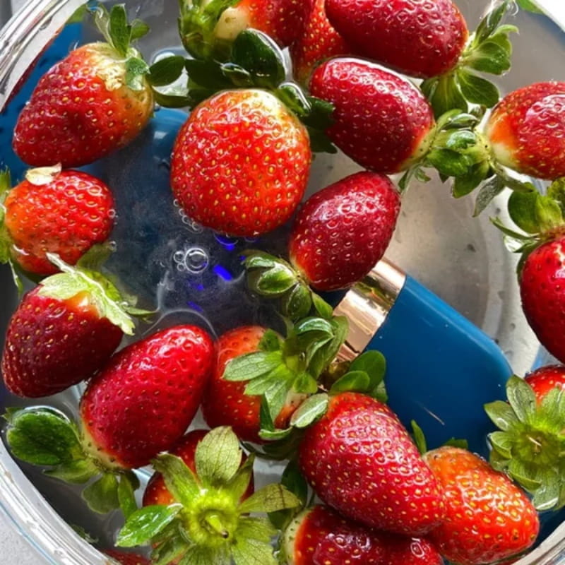 Norvo | PureZest – Fjerner umiddelbart 99% av bakterier og plantevernmidler fra mat