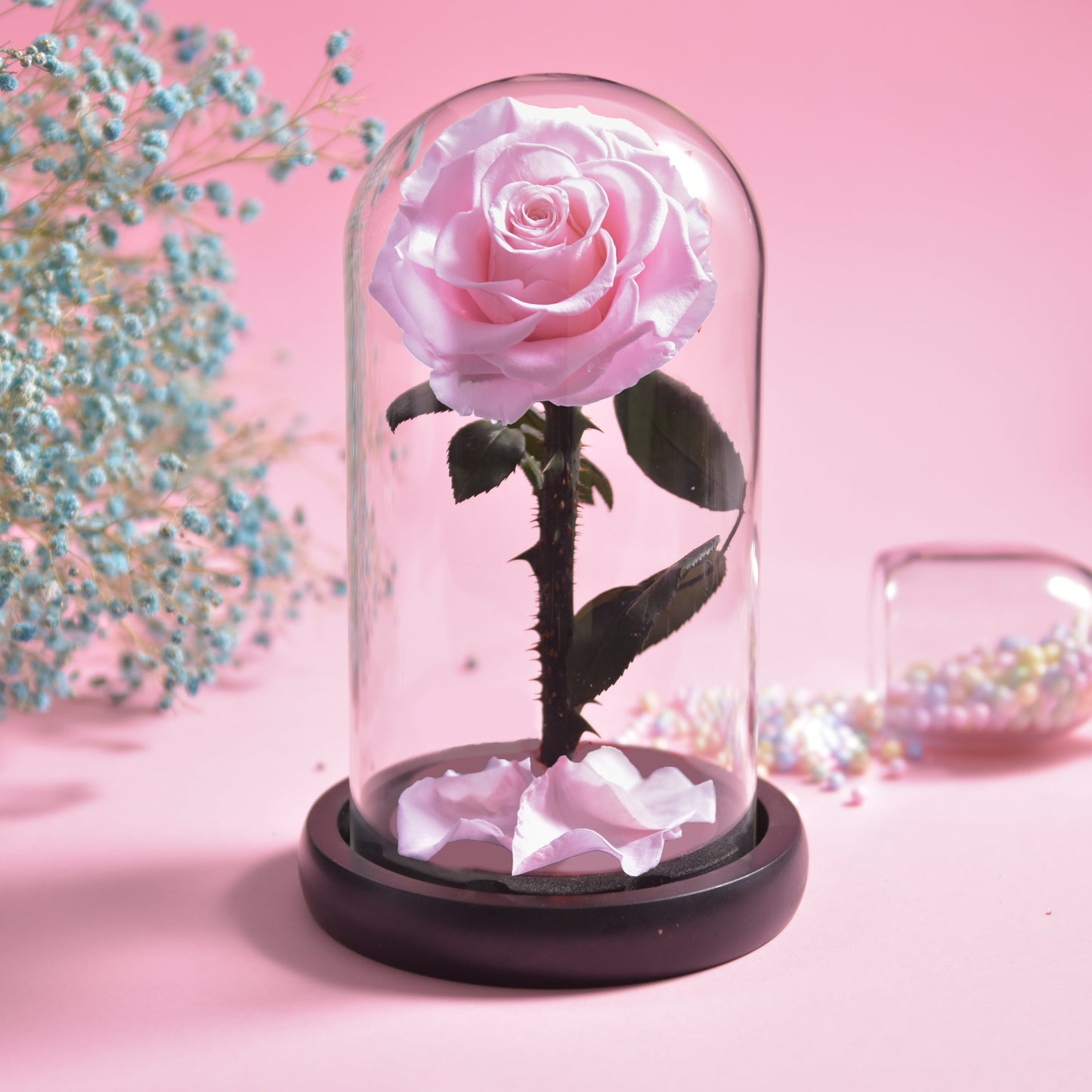Norvo | Forever Rose – Evig rose i glasskuppel, 3 dager leveringstid – Rosa