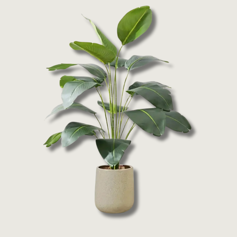 Norvo | LeafVibe - Bananetre Dekorasjon