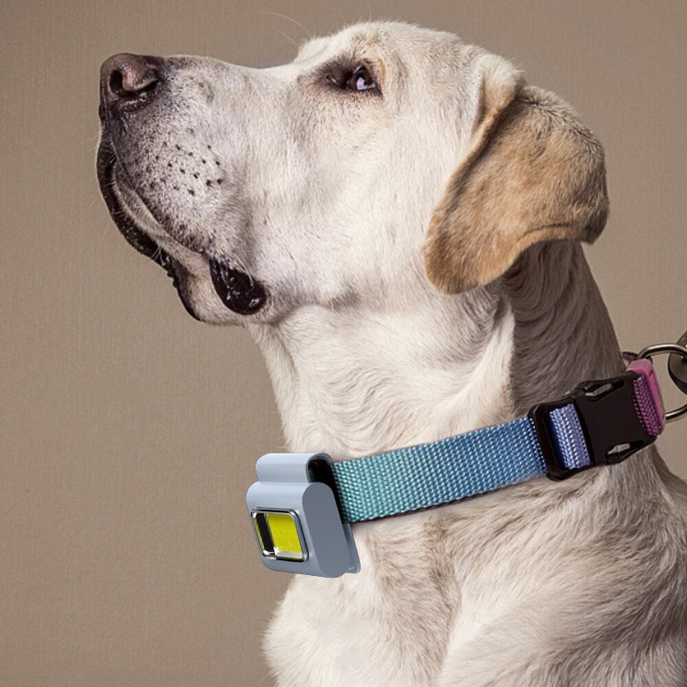 Norvo | Lomme Må-Ha Mini Magnetisk Gålampe Klem