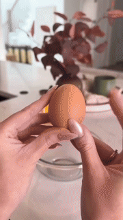 Norvo | Eggeplomme Separator