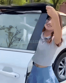 Norvo | Bilvindu UV solskjerm gardiner