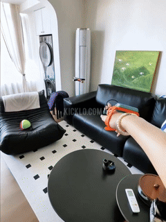 Norvo | RC Geststyrt Flygende Sverd