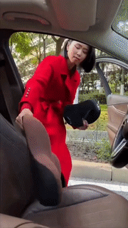 Norvo | Bil Lendestøtte Ryggpute og Nakkepute