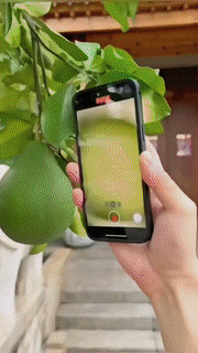 Norvo | Bærbar mobil LED mikroskoplinse