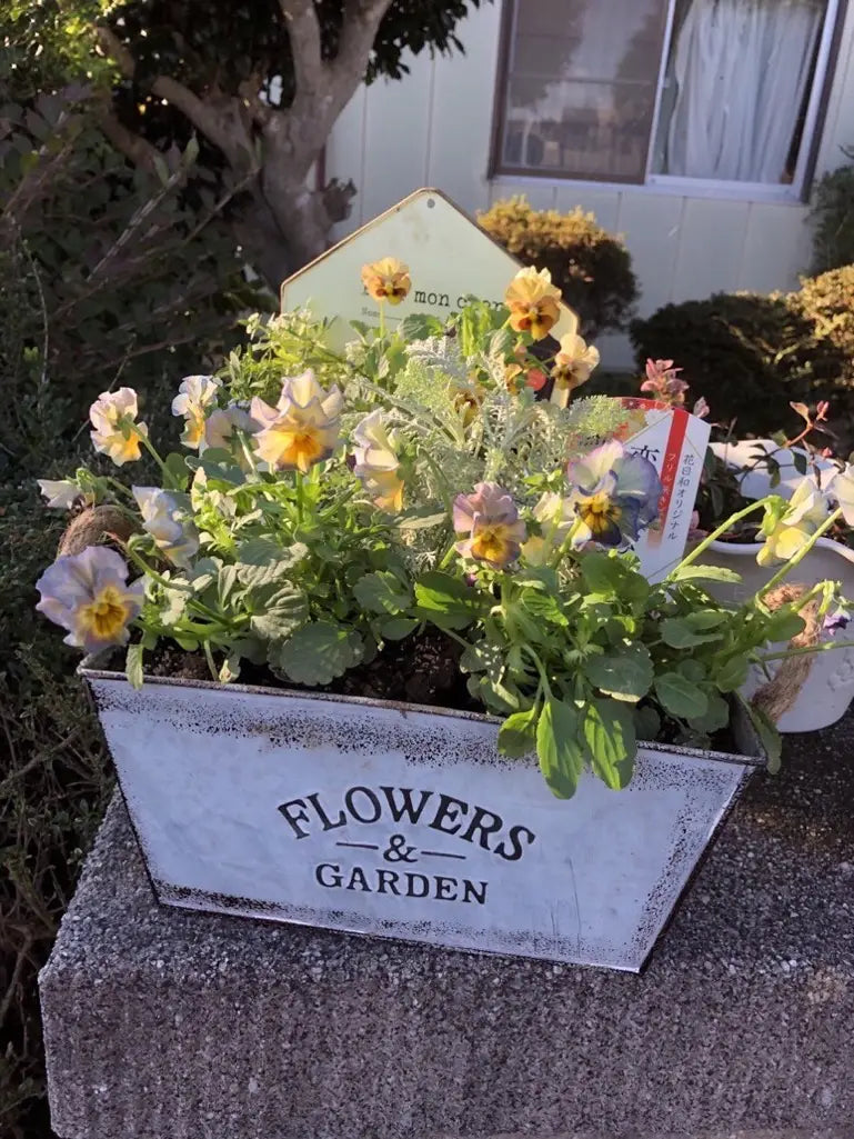 Norvo | Dekorativ blomster- og hagebeholder laget av metall med hemp tauhåndtak