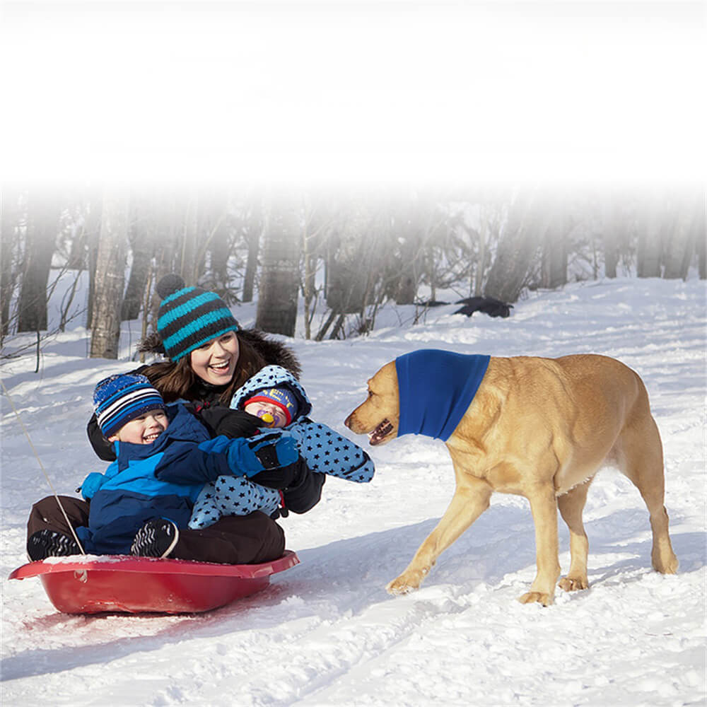 Norvo | Dyreprodukter Hund Beroligende Hodebånd