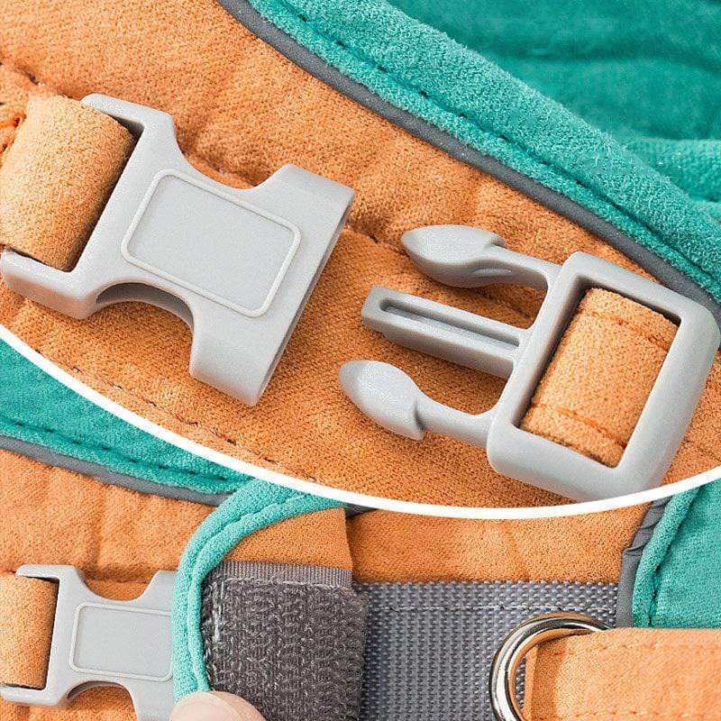 Norvo | Katt Vest Og Belte Sett Kjæledyr Taksjons Tau