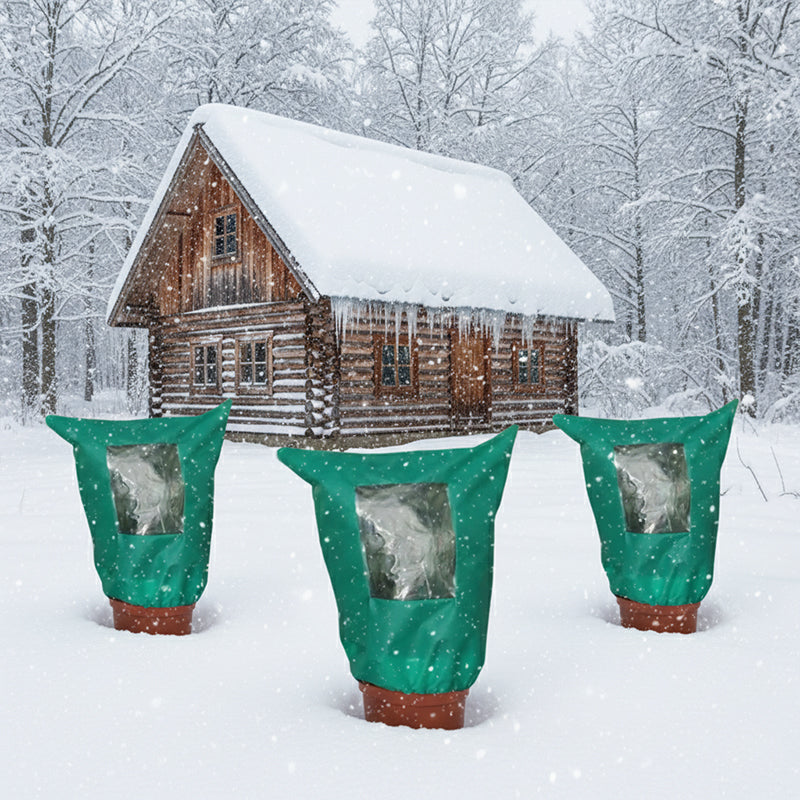 Norvo | CozyPlant – Beskytt plantene dine mot vinterkulden og hjelp dem å trives