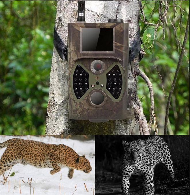 Norvo | 1HD Trail Cam Natt Syn Hunting Camera