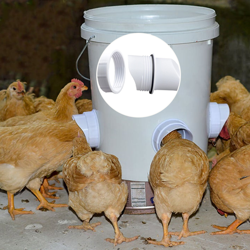 Norvo | DIY Kyllingmater