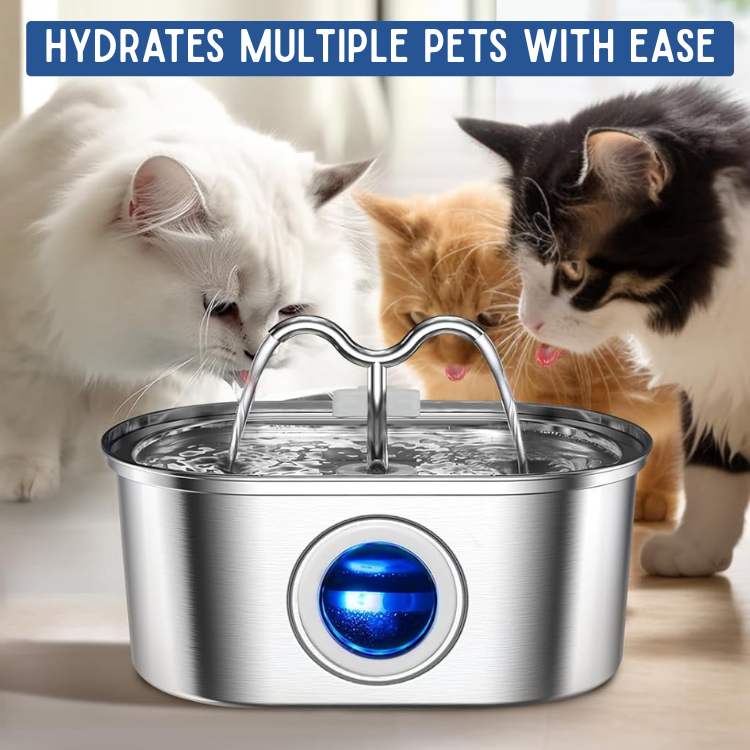Norvo | Pet Water Fountain | Silent Operation, Durable Stainless Steel & Ideal for Cats and Dogs