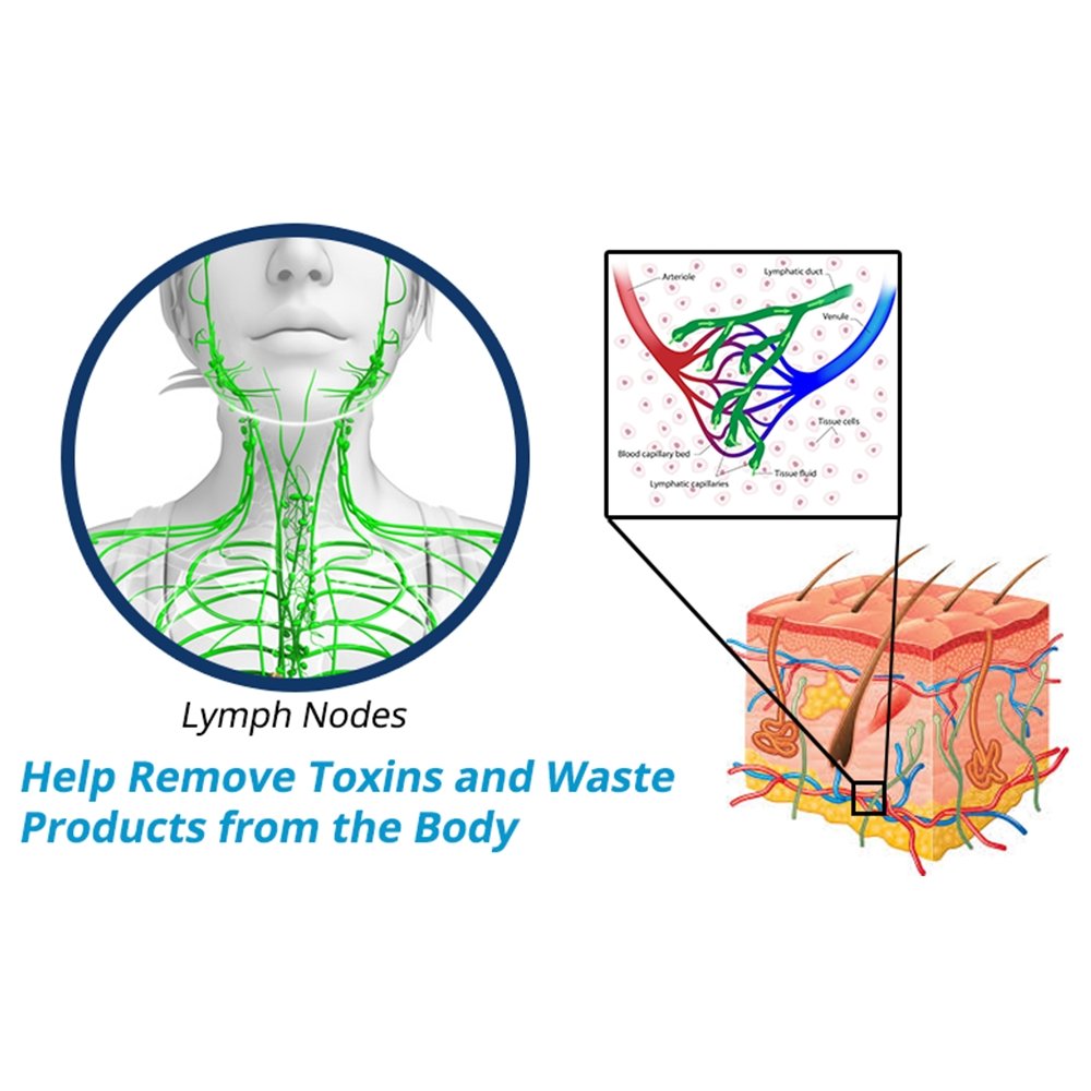 Norvo | GFOUK™ PerfectJaw EMS Mikstrøm Lifting Enhet
