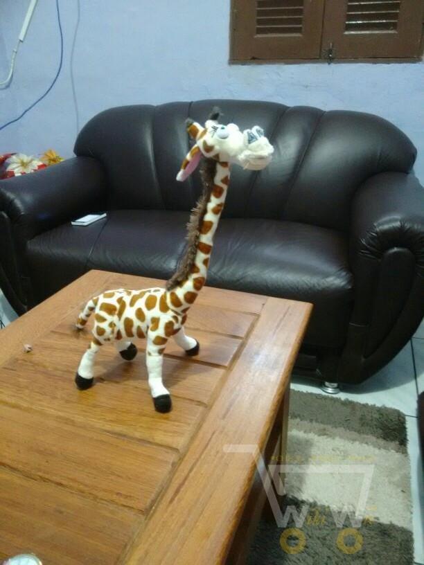Norvo | Giraffe Kosedyr