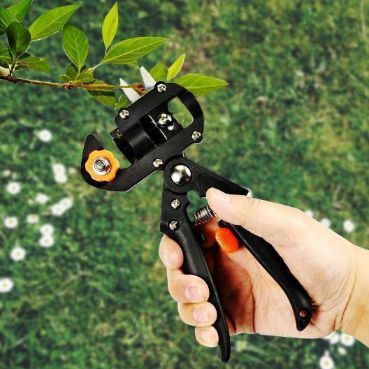 Norvo | Verktøy for poding og beskjæring